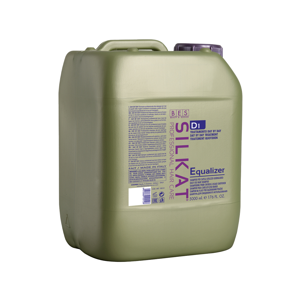 EQUALIZER D1